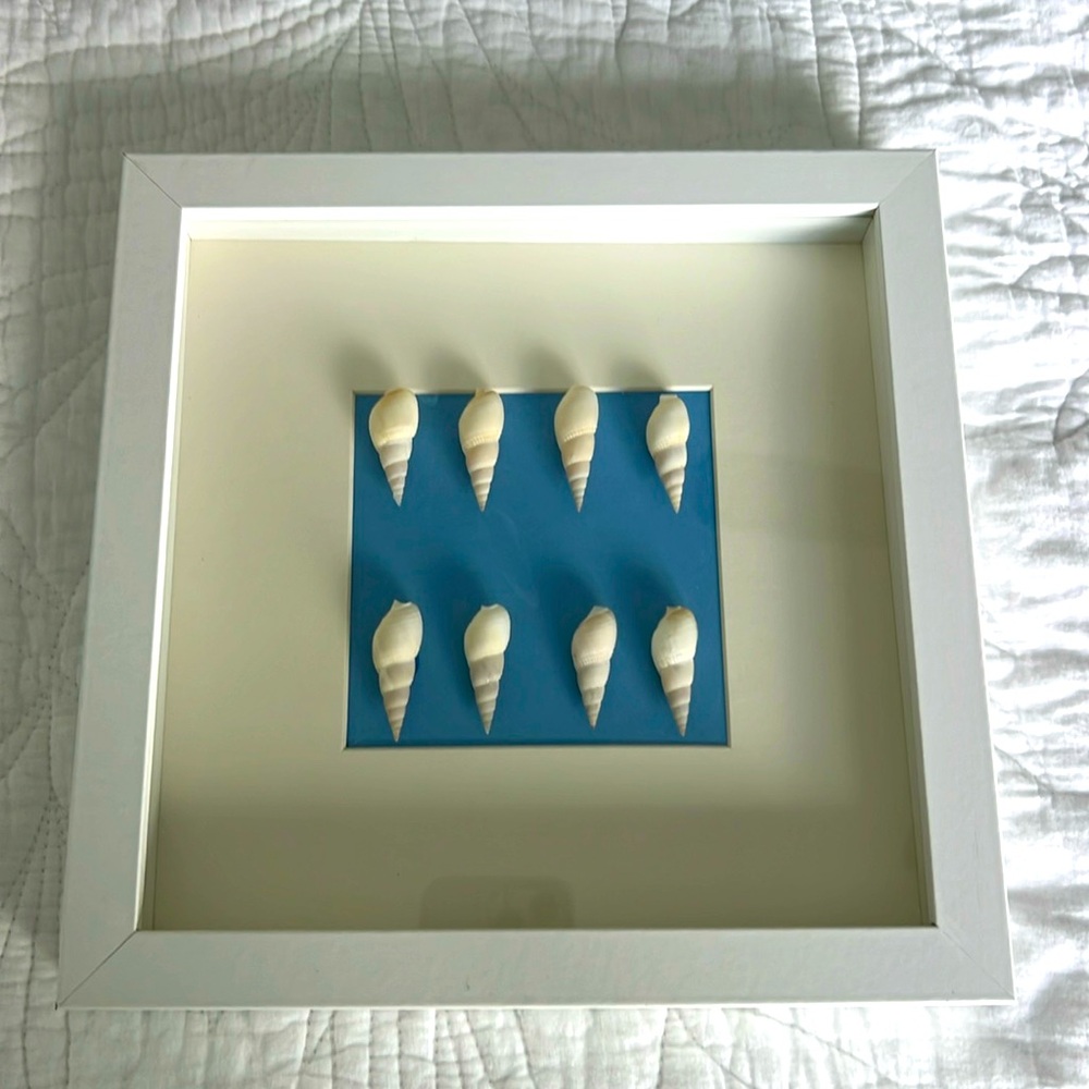 SEA SHELL ART